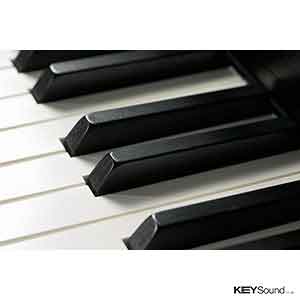 Kawai CA97 Digital Piano in Premium Rosewood