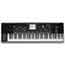 Korg PA3X 76 Key Professional Arranger Keyboard