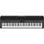 Roland FP90 Digital Piano in Black