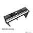 Korg Havian 30 Digital Piano in Black