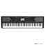 Korg Havian 30 Digital Piano in Black