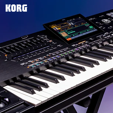 Korg Arranger PA5X