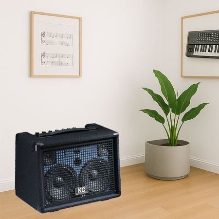Amplification