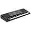 Korg Pa600 Professional Arranger Keyboard