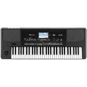 Korg PA300 Professional Arranger in Black  title=