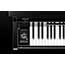 Thumbnail 4 of Kawai CA99 Digital Piano