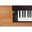 Kawai CN29 Digital Piano in Rosewood