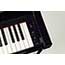 Thumbnail 5 of Yamaha CSP295 Digital Piano