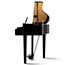 Kawai DG30 Digital Piano in Polished Ebony