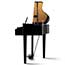Thumbnail 5 of Kawai DG30 Digital Piano