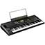 Korg EK50 Entertainer Keyboard