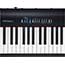 Roland FP30 Digital Piano in Black