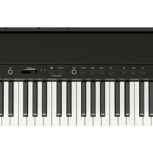 Thumbnail 6 of Roland FP40 Digital Piano