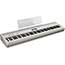 Roland FP60 Digital Piano in White