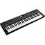 Roland Go Keys 5 in Graphite