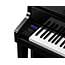 Casio GP510 Celviano Grand Hybrid Digital Piano in Polished Ebony