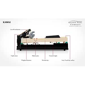 Kawai launch the new Kawai CA58 Digital Piano available at Keysound  the Piano & Keyboard Specialist