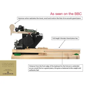 Thumbnail 4 of Casio GP500 Celviano Grand Hybrid Digital Piano