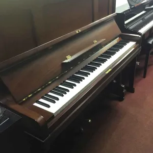 Thumbnail 1 of Edelmann Acoustic Piano