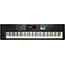 Roland Juno DS88 Synthesizer in Black