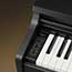 Kawai KDP75 Digital Piano in Black