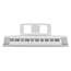 Thumbnail 3 of Yamaha NP15 Portable Piano-Style Keyboard