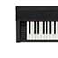 Casio PX870 Digital Piano in Black