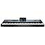 Korg PA5X 88 Keys Professional Arranger Keyboard