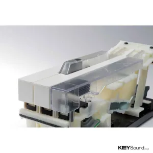 Thumbnail 3 of Kawai CN25 Digital Piano