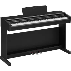 Thumbnail 2 of Yamaha YDP146 Digital Piano