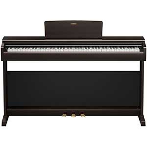 Yamaha YDP146 Digital Piano in Rosewood