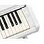 Thumbnail 3 of Yamaha YDP166 Digital Piano