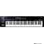 Roland A800PRO USB Midi Keyboard Controller