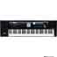 Roland BK5 Arranger Keyboard