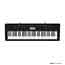 Casio CTK3200 Keyboard