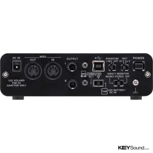 Thumbnail 2 of Roland Duo-Capture EX USB Audio Interface