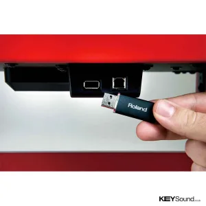 Thumbnail 3 of Roland F120R Digital Piano