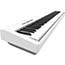 Roland FP30X Digital Piano in White