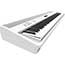 Roland FP90X Digital Piano in White