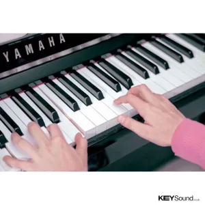 Thumbnail 2 of Yamaha NU1 Digital Piano 