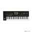 Korg Pre-Owned PA4X 61-Keys Professional Arranger