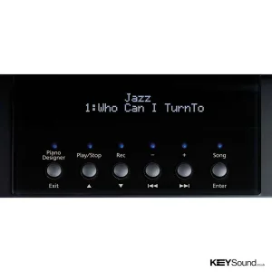 Thumbnail 3 of Roland RG1F Digital Piano